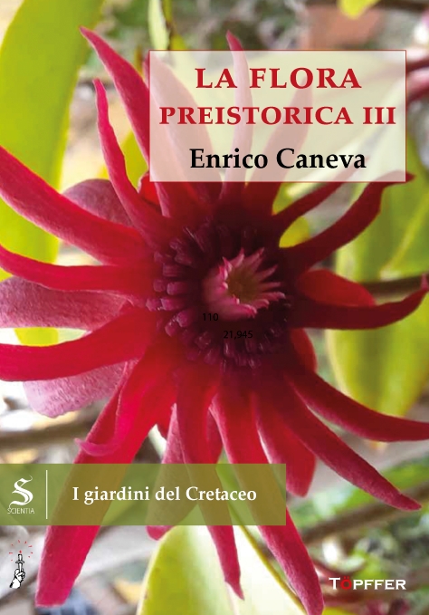 Copertina del saggio di Enrico Caneva "La flora preistorica III. I giardini del Cretaceo", Töpffer/Oltre edizioni