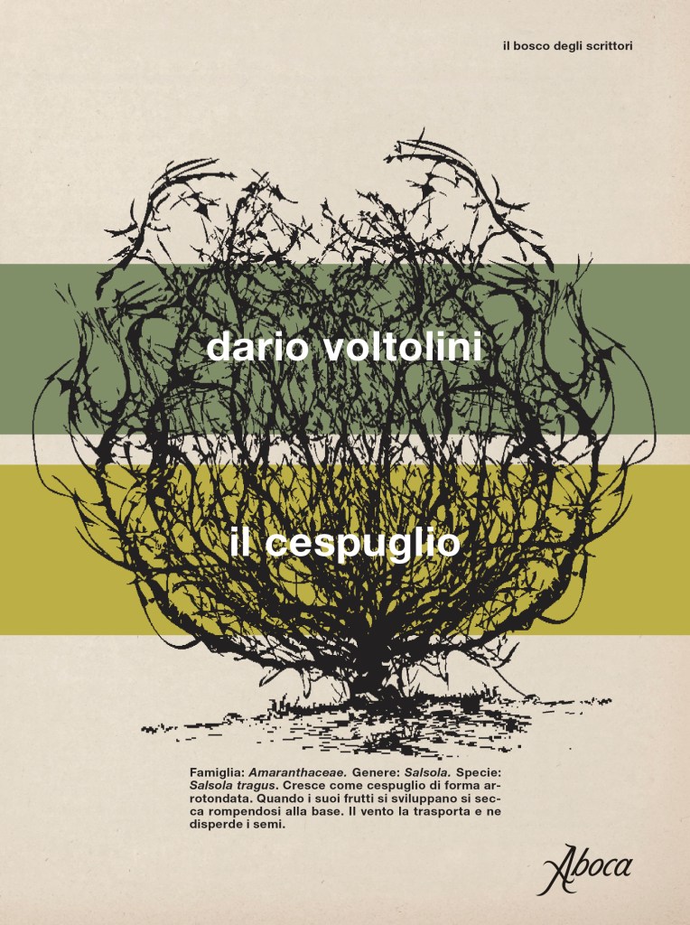 Copertina del romanzo di Dario Voltolini "Il cespuglio", Aboca